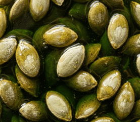 Pumpkin Seed Oil